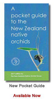 Pocket Guide to the NZ Orchids